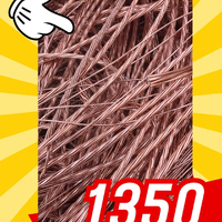 画像250