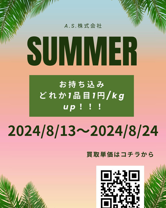 画像255